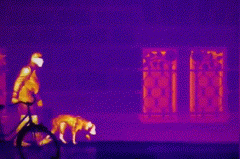 博源国际(中国)有限公司官网