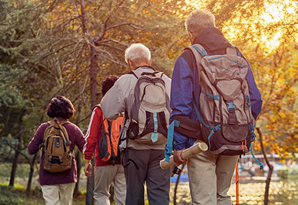 博源国际(中国)有限公司官网