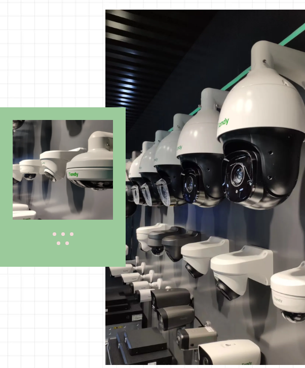 博源国际(中国)有限公司官网