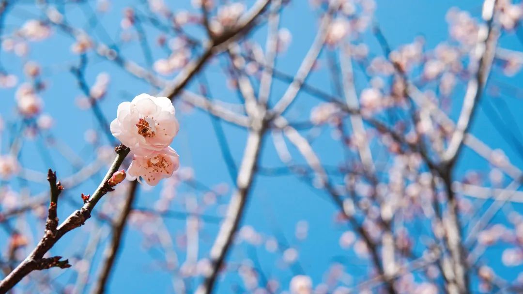 博源国际(中国)有限公司官网