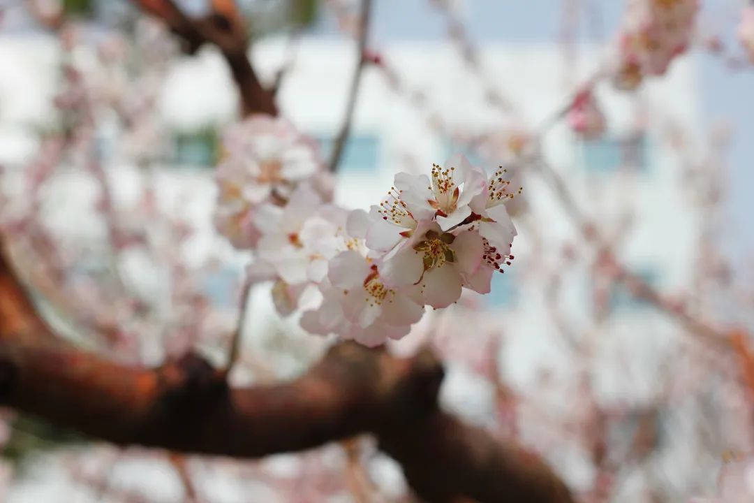 博源国际(中国)有限公司官网