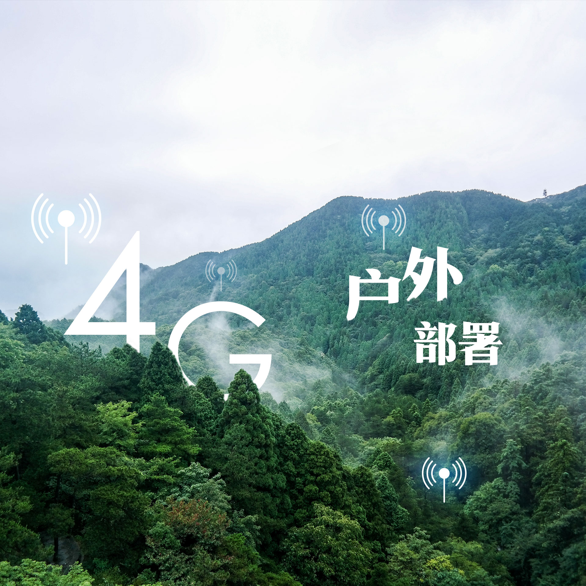 博源国际(中国)有限公司官网